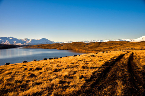 03ccd672ace7bb2ef3c219b881aa0fb1