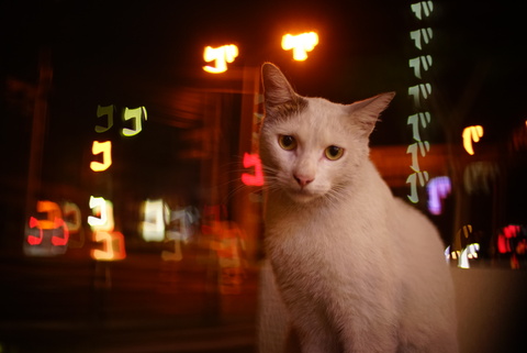 2d51b2f4339b929dc259538c12dd7448