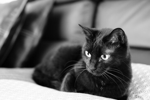 5129c68ffb843be5412bfce236831f56