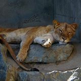 D262475a2902441ea12d15e72f1bd837