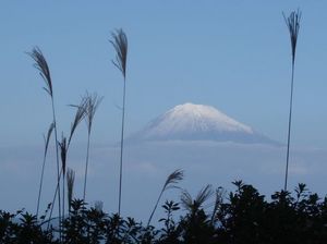 A8e1498381eb0d61610b8e2d9aa515ac