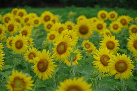 58ce0b469be740eaee622493712a0eb1