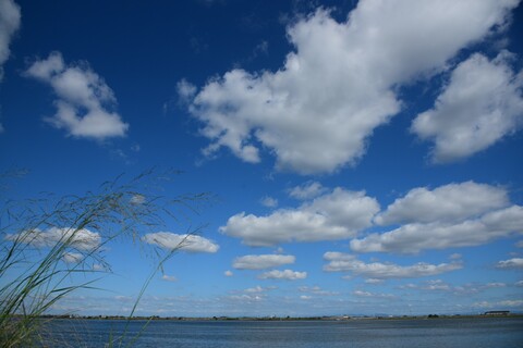 37eef26e6a443ff2bc9872fd56731e01