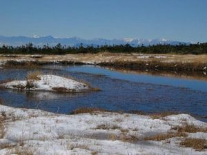 C81e8419e348a94917d699d7c44f0c3d