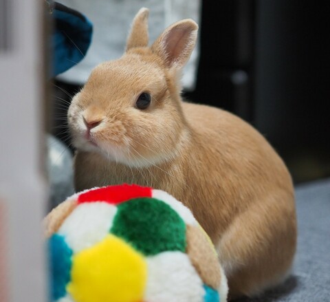 A224b250f1680333ac01795d89fbc5e9