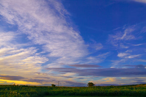 C0eea1426e6c6f116c61ee5b417a896d