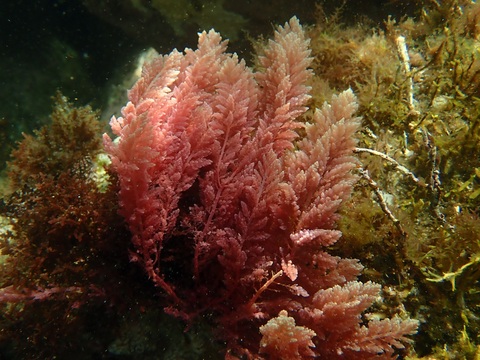 776f9c7b2835ac0bb0d9bba0468d17fd