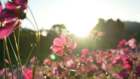 A3048fa89f418417d9d42dc1ca0970d8