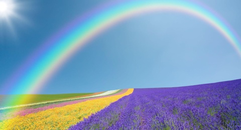 224fbeb397d921f1921155a9169624bc