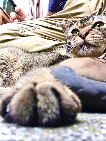 B409e168dec3437d8b148dd181e2ab4f