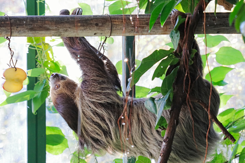 2bb6cfeae0b5218ea7d92bff0994318e