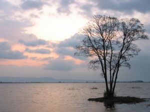 9b1780cc16c6f35e0de5f5dfebad0524