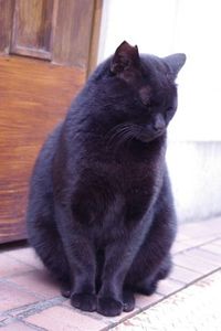 Edbb7cc9051fb387ea8e8bb72af93de8