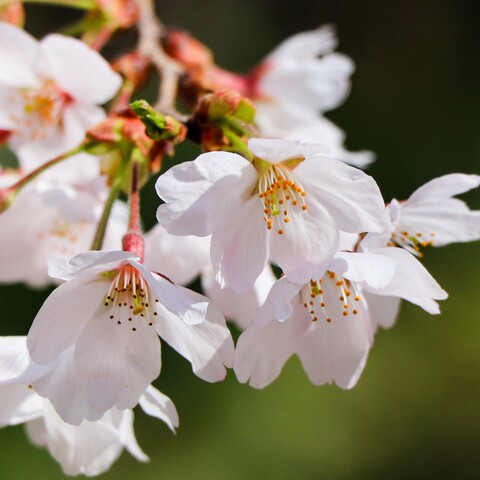 B820e5f55ed3627408c4e9b8284ce13c