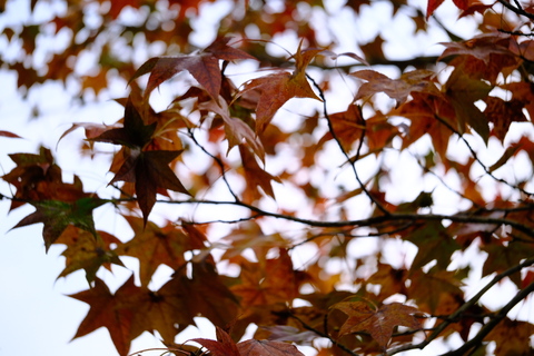 Ec01b25251ae33a02744571f4f7d7e08