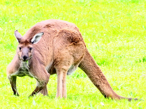 3dd37d6d7b3ef5099d57df112d1f0e0f