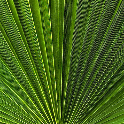 3819d8f7a53f9334865fbd15b3d43015