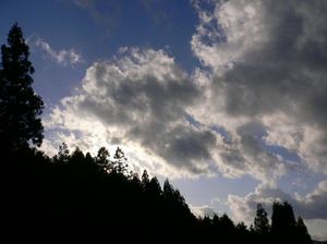 7052f5b5e6aaf5df4da37972592135a4