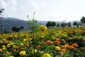 D72708416472f1ab7a24ee32cfe9b068