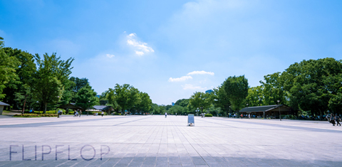 421405af896abe2cf896afc4a63b18c0