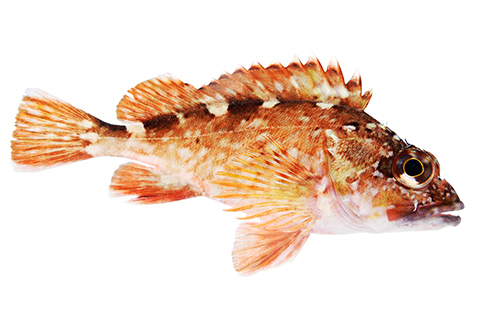 F96768b5fb76096f7a1a62eb4451da9d