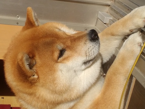 890b510baf80fd65f0df22771e7c4402