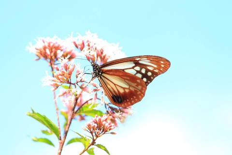 Dc9ac42c99ead963790c0b8a078e4fb7