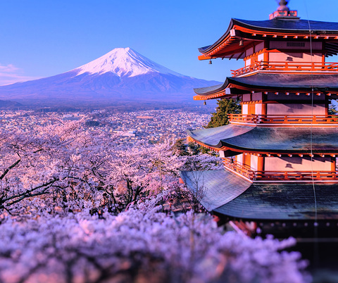 Da0a6b932ccdb66c80b0f2e48aa320d6