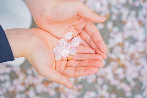 Fe013c1854a7f3d443fd30570429eac7