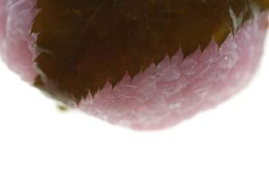 E47d0f4b1c030c06dbd53297d41ee2ed