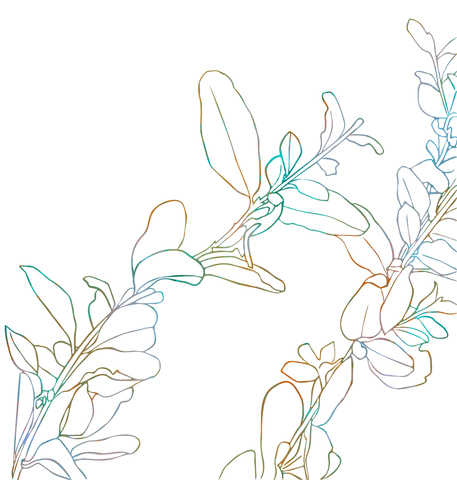 A4bcfc654694c18b18d3861e6838e886