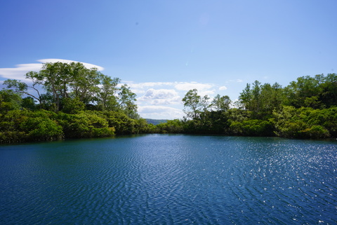 D47e61218787e190b6bed921a82c7dc6