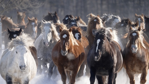 Ba8707e32f3fae1f1a5543fb7bb343dc