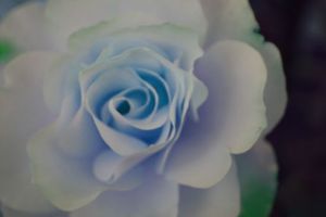 Ab61f4df0b9797a112ffaafa4c0a572e