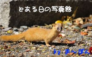 6e262e43593aae0854084b51d1390774