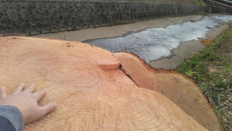 57d33c8f0785cf081bccbff5684fd71c