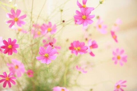 4aef54e254b90e6d9e28d92cbdc415e3