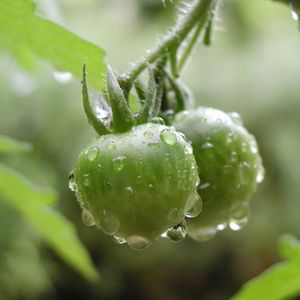 8b2657a0b77eeddbded2a0f156c95e74