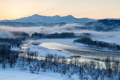 A02c65ce4e5b5a8b49c268c0dfdf9a01