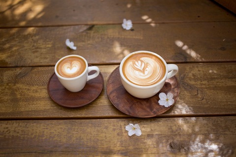 77b3409a6f9a7663f207532eb69f56ca