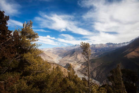 4fd00ef6e89e9b9e8ffc765c190ecf63