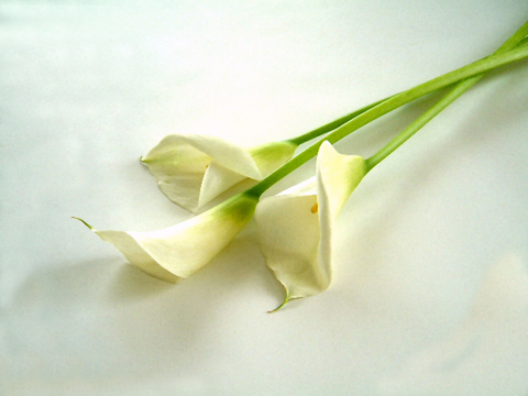 C06d14cc4bf25e8b4a17757711a68534