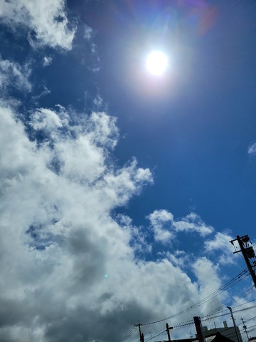 313453b809f1a4f44ad9167c8bc137b5