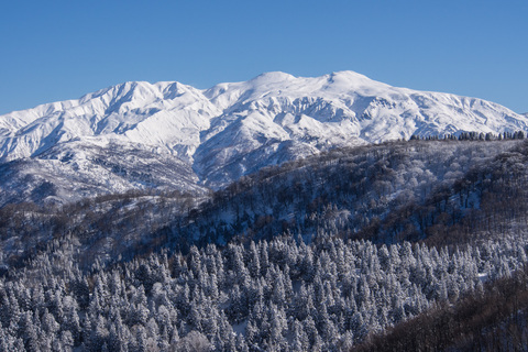 F24fbb0b65eeba2b5438b63174339399