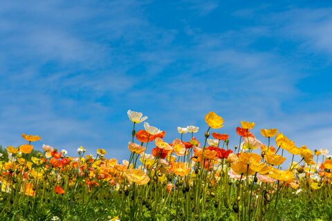 794d4ab4d1f2b57f67ed1dd7ca77fe1b