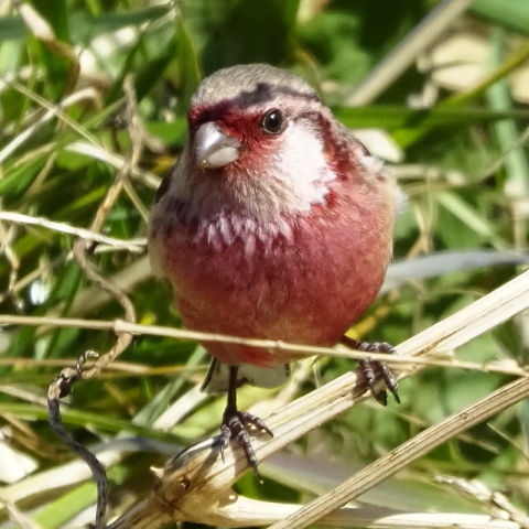 20c168172e00dd987732a08ec1719d51