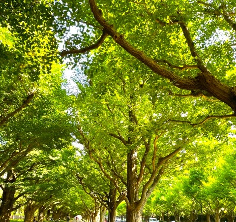 B5712f9499aa8d5ee478b4121c595635