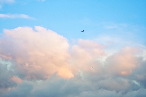 Ea20e9c87e01eb1ba81a34cb85d87883