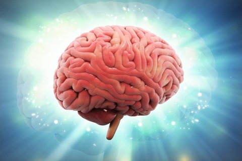 782956c379d2c68d61a711cc276a4cd0