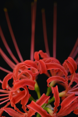 9396adcec24c801ee822ef908a750dba